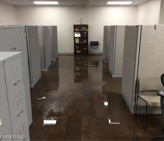 flooded floor, cubicles, gray cabinets